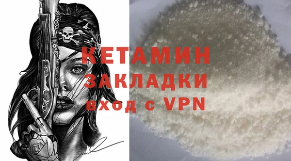 индика Каменка