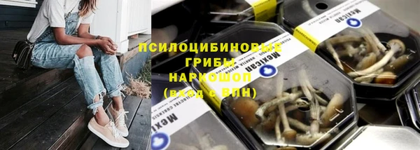 каннабис Алзамай