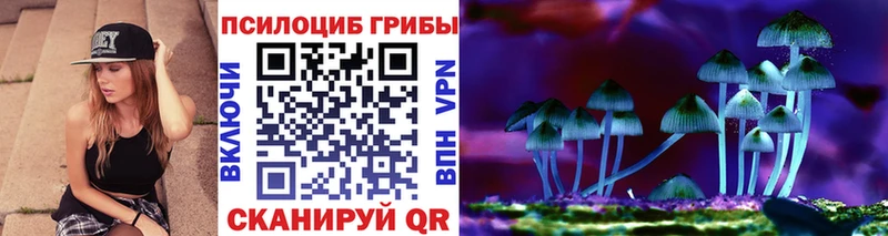 Псилоцибиновые грибы Magic Shrooms купить закладку блэк спрут как войти Советская Гавань
